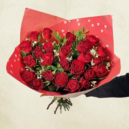 24 Red Roses True Fresh Flower Bouquet - Romantic Gift a Two Dozen Red Roses I Love You Large Flower Bouquet Ideal for Valentines Birthdays Mothers Day and Anniversaries