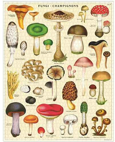 Cavallini & Co. 1000 Piece Vintage Puzzle, Mushrooms (PZL/MUSH)