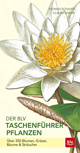 Der BLV Taschenführer Pflanzen: Über 350 Blumen, Gräser, Bäume & Sträucher (BLV Bäume & Pflanzen)