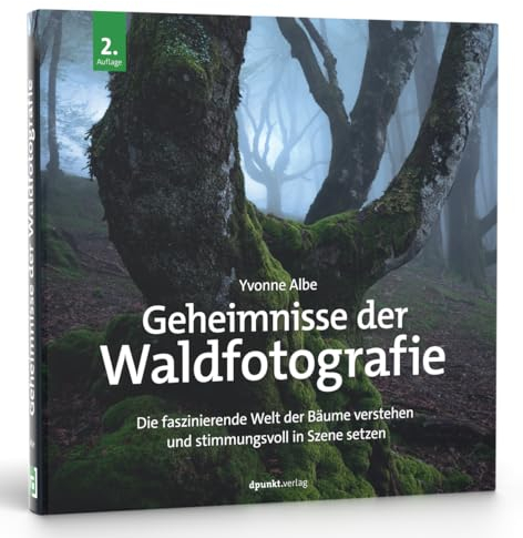 Geheimnisse der Waldfotografie: Die faszinierende Welt der Bäume verstehen und stimmungsvoll in Szene setzen