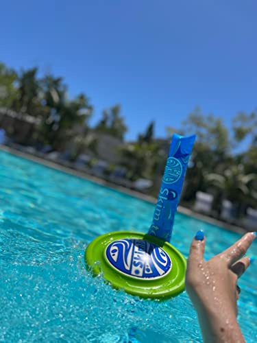 Skim to The Pin Pool Disc Game