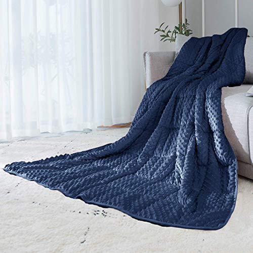 ALANSMA Reversible Weighted Blanket for All Season, Luxury Velvet, Warm and Cool, Adult 5Lb Blue Weighted Blanket, Enjoy Sleeping Anywhere(Blue,35x48 5.5lbs)