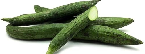 10 SEMI ZUCCHINA SPONGE GOURD semi freschi
