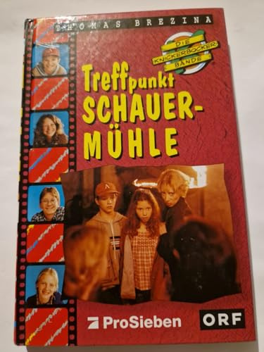 Die Knickerbocker-Bande, TV-Abenteuer, Bd.7, Treffpunkt Schauermühle