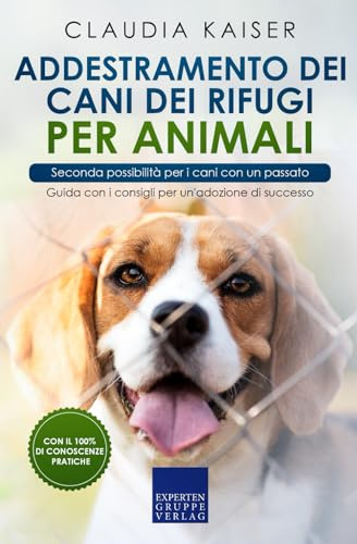 Addestramento dei cani dei rifugi per animali - Seconda possibilità per i cani con un passato: Guida con i consigli per un'adozione di successo