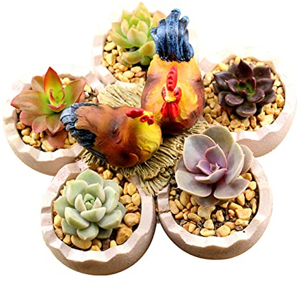 Kreativer Eierschalen-Blumentopf, Hühner- und Eierwächter-Pflanztopf, Mini-Sukkulenten-Pflanztopf für Kräuter-Luftpflanzen, Heimdekoration, Geschenke, Keine Pflanzen (1)