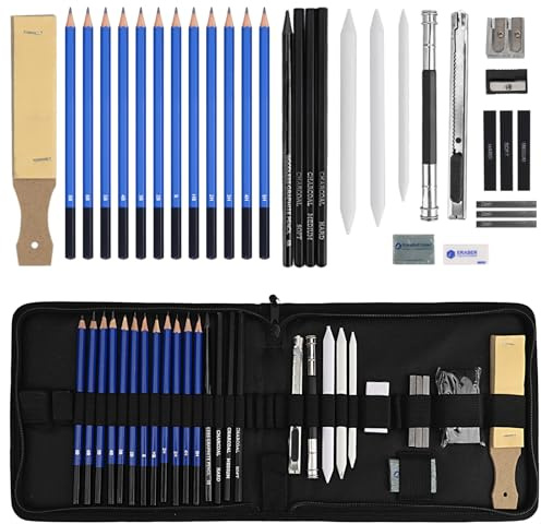 Lauviomify Set med 33 st konstritpennor, perfekt för konstnärer och nybörjare, kolpennor, skisspennor, suddgummi, kolpinne, konstkit och tillbehör