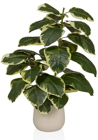 hjh OFFICE Konstgjord växt Ficus 3 – Vintergrön konstgjord växt ca 85 cm | Vackert äkta, högkvalitativ plastmix, lätt att rengöra och luktfri