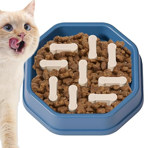 Gamelle pour chien – Mangeoire pour animaux de compagnie à alimentation lente, plat anti-avalement, favorise une digestion saine, base antidérapante, bol d'eau et de nourriture, accessoires pour chien