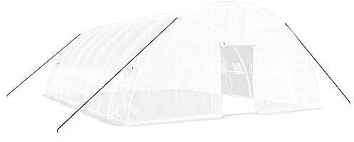 vidaXL Växthus med stålram vit 48 m² 8x6x2,85 m, drivhus, växt hus, växthus med fönster, driv hus, växt hus, växthus med dörr