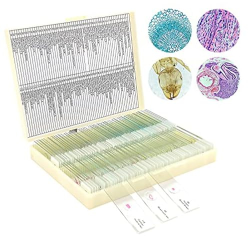 Qomcsrl Preparados para Microscopio con Muestras de NiñOs, Portaobjetos para MicrobiologíA de Adultos en NiñOs, 100 Piezas