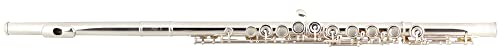 Lechgold FL-19/4 Querflöte - Versilberte Flöte mit C-Fuß - Mundlochplatte und Kopfstück aus 925er Sterling-Silber - Korpus aus Neusilber - Geschlossene Klappen - Inklusive Etui, Tasche & Wischerstab