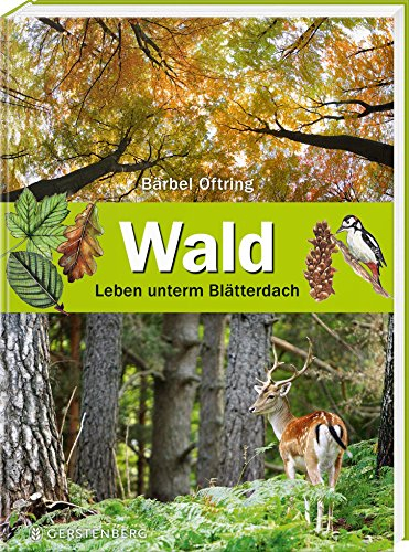 Wald: Leben unterm Blätterdach