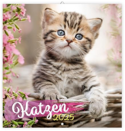 Trötsch Broschürenkalender Katzen 2025: Wandplaner