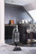 SEBO 90810GB Felix Pet ePower Upright Vacuum Cleaner, High Grade ABS, 700 W, 3.5 liters, Black/Silver