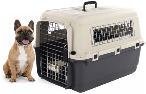 Cage pour Chien - Cage de Transport Chien - Flamingo Fomad Gris foncé - M 53 x 67 x 47 cm - Plastique Robuste - Porte métallique - verrou de sécurité - poignée - gamelle Amovible