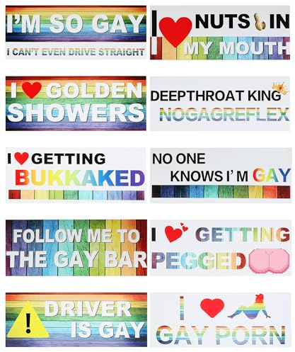 bylikeho 10Pcs Car Stickers,Magnetic Bumper Stickers,Car Accessories,Funny Bumper Sticker,Automotive Stickers,Reusable Bumper Stickers,Suitable for All Cars,Trucks,Motorcycles,Etc