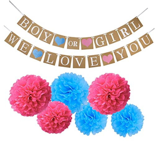 Cabilock Neugeborenen Präsentieren Set Baby Dusche Dekorationen Papier Banner Blume Party Bunting
