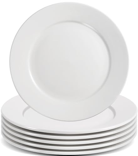 Incisite 6 Pack Dessert Salad Plates, 8 Inch/20.3cm White Porcelain Dinner Plates, Round White Plate for Dinner Appetizer, Ceramic Dessert Plate Set, Microwave Oven Dishwasher Safe