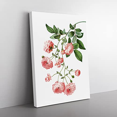 Rambler Roses By Pierre Joseph Redoute Vintage Canvas Wall Art Print Ready to Hang, Framed Picture for Living Room Bedroom Home Office Décor, 50x35 cm (20x14 Inch)