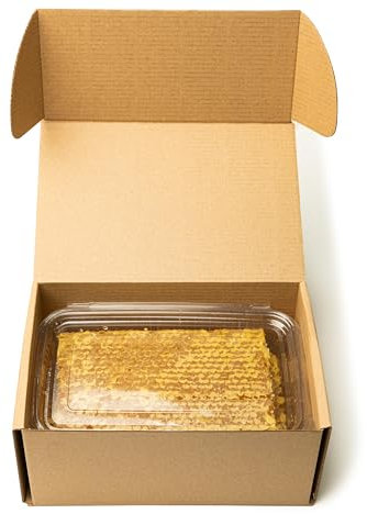 2 panales de 400 g de flor silvestre en marco de madera, peine de miel natural cruda, sin pasteurizar