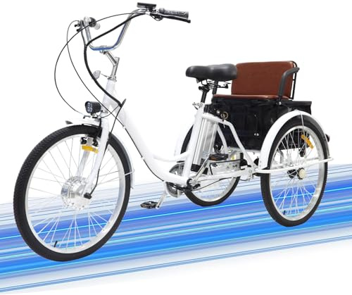 Tricycle électrique Cargo pour Adulte, vélo électrique 24 Pouces avec siège arrière, Batterie Lithium 36 V 12 Ah, Charge maximale 150 kg