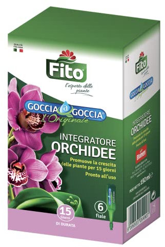 Fito X101001 Goccia Orchidee, Verde, 8.1x5.6x14 cm