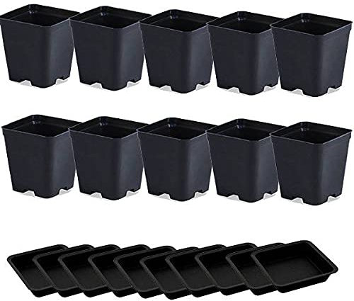 Idroponica Vaso quadro 1,7L + Sottovaso - 12x12x13cm