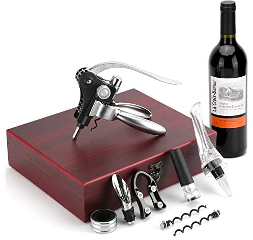VASFFG Cavatappi per Vino Set Professionale Apribottiglie, Tappo Sottovuoto per Vino, Aeratore e Versatore per Vino, Set Regalo per gli Amanti del Vino