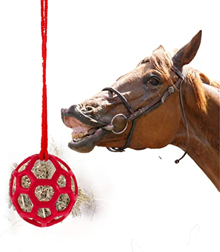 Futterspielball, Pferdespielzeug Für Die, Pferdeball, Spielzeug Für Echte, Behandeln Ball Heu Feeder Spielzeug(3 Farben)