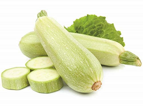 La zappa Semi di zucchino piante per orto e giardino coltivazione domestica e professionale (Lungo bianco di palermo)