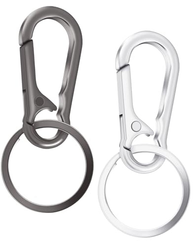 Yolev 2PCS Key Ring Keychain Keyrings Metal Keychain Clip Key Chain Holder Stainless Keyring Keychains Chain Holder Organizer for Car and Keys Finder (silver black)