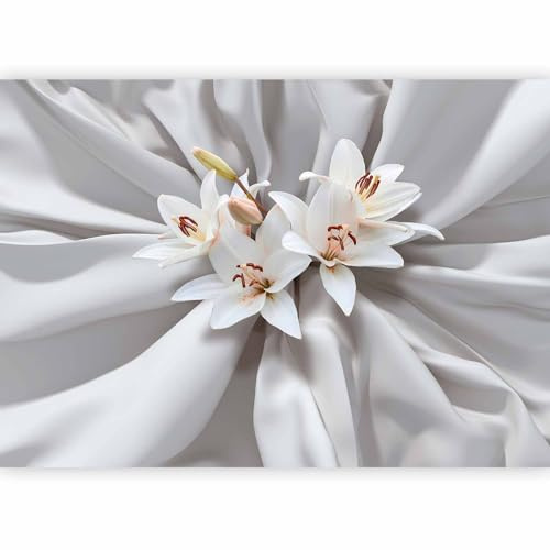 murando Photo Wallpaper 300x210 cm Non-Woven Premium Art Print Fleece Wall