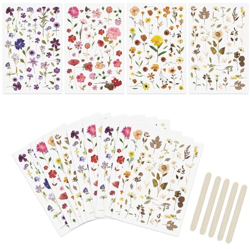 WANDIC 16 fogli strofinare su adesivi di trasferimento, adesivi a tema di fiori secchi adesivi impermeabili trasparenti per scrapbook