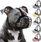 Pitbull Maulkorb für Hunde, Metallmaske, Amstaff sicherer Drahtkorb, verstellbare, langlebige Lederriemen für große Hunde (schwarz)