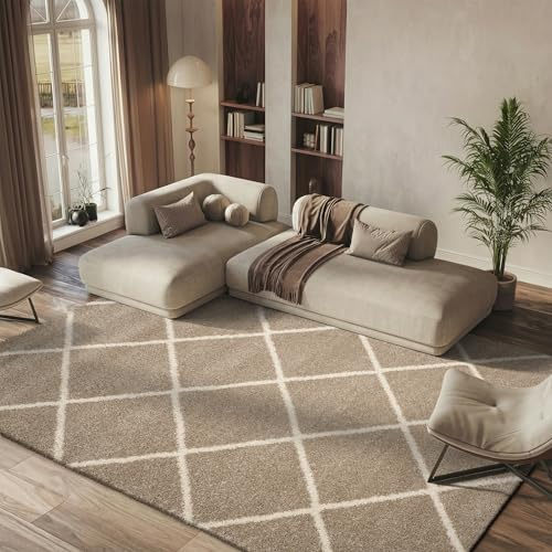 SAFAVIEH Hudson Shag Collection Area Rug - 5'3 x 7'6, Beige & Ivory, Modern Trellis Design, Non-Shedding & Easy Care, 2-inch Thick Ideal for High Traffic Areas in Living Room, Bedroom (SGH281S)
