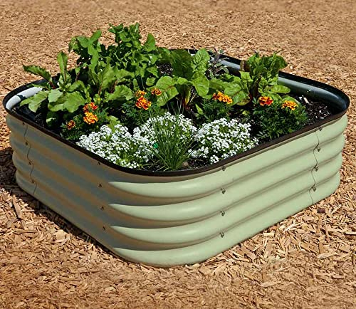Original Veggie Bed Sage Garden Planting Mist Green Vegetable Steel Planter Easy to Grow our Own 1x Veg Bed by Thompson and Morgan. (Mist Green)