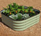 Original Veggie Bed Sage Garden Planting Mist Green Vegetable Steel Planter Easy to Grow our Own 1x Veg Bed by Thompson and Morgan. (Mist Green)