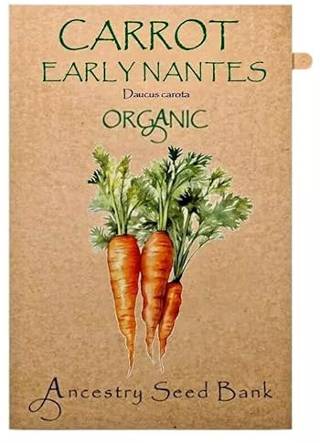Organic Carrot ❁ Early Nantes ❁ 150 Seeds Heirloom - Non GMO