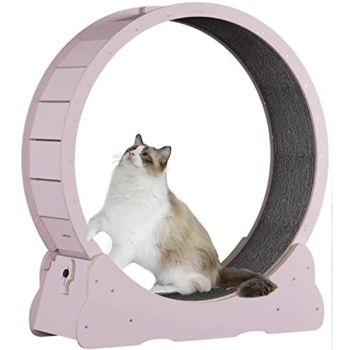 BCJMKDX Rueda para Gatos. Juguete Deportivo for Bajar de Peso y Fitness for Gatos, Cinta Correr silenciosa con Bloqueo Seguridad, for aliviar la Falta Ejercicio en Interior(Pink,XL)