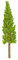 Hobbyfun Zypresse 14 cm