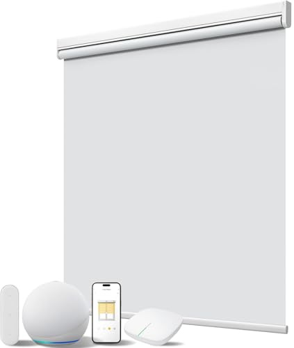 JaeJaes Motorized Smart Shades with Remote Control, Blackout Motorized Roller Shades for Indoor Windows Home and Office (White 23 W x 72 H)