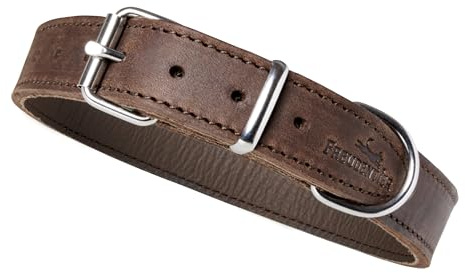 FREUDENTIER Hundehalsband Leder für kleine bis mittelgroße Hunde - Alsterufer Kollektion - Lederhalsband aus Fettleder - Handmade in EU (Chocolate, 38-50cm)