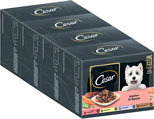 Cesar Adult Hundenassfutter Selektion in Sauce, 48 Portionsbeutel, 12x100g (4er Pack) – Ausgewogenes Premium Hundefutter nass, Auswahl mit Rind, Huhn, Lamm und Truthahn