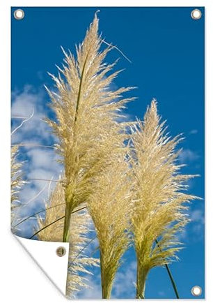 MuchoWow Poster exterieur Plantes - Herbe de la pampa - Air Decoration murale 40x60 cm Résistant aux intempéries/soleil