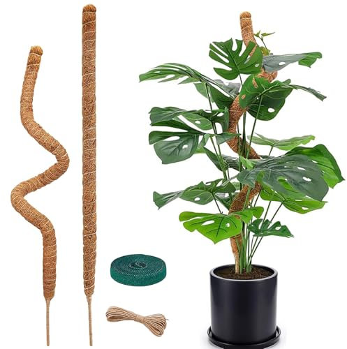 MPXEAVG Tuteur Plante Grimpante, 120cm Tuteur Plante Interieur, Tuteurs pour Plantes, Tuteur Monstera, Pliable, Aide à l'escalade des Plantes, Moss Pole pour Plantes Grimpantes Poussant vers Le Haut