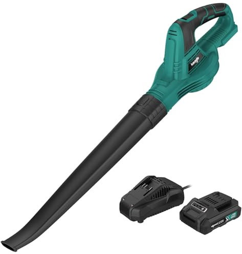 iceagle Souffleur à Feuilles avec Batterie, 20 V, Chargeur 2,4 Ah et Batterie 2,0 Ah, Puissant souffleur à Feuilles, 180 km/h, 12 000 TR/Min pour Un Entretien Efficace de la pelouse du Jardin