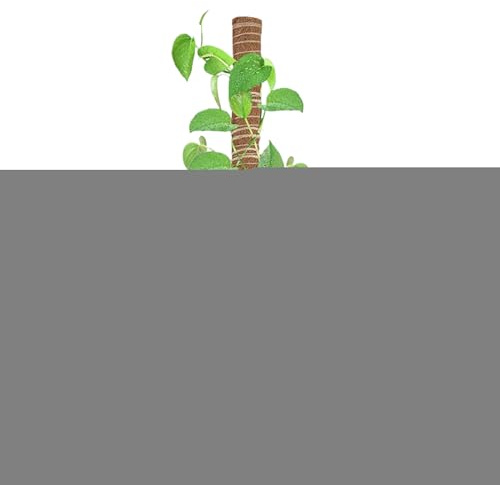 Poste de musgo – Entrena las plantas de manera eficaz, soporte flexible para plantas trepadoras | Monstera, filodendro, pothos para interiores y exteriores, ayuda al cultivo de pothos con bridas y
