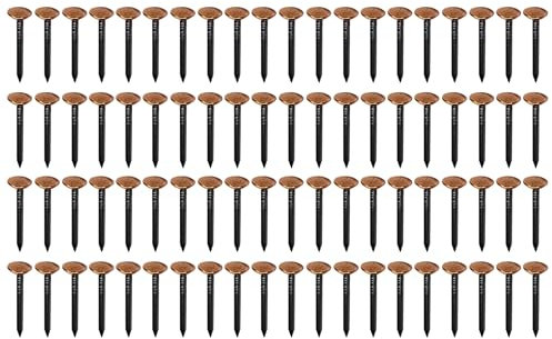 cyclingcolors 100x chiodi chiodini in acciaio con testa larga in rame fissaggio fotografie quadri ai muri decorativo, 2x20mm