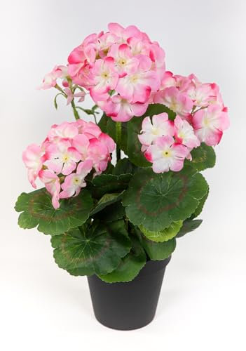 Künstliche Geranie im Topf 34cm LM Kunstblumen künstliche Pelargonium Blumen Pflanzen (Rosa - 34cm)